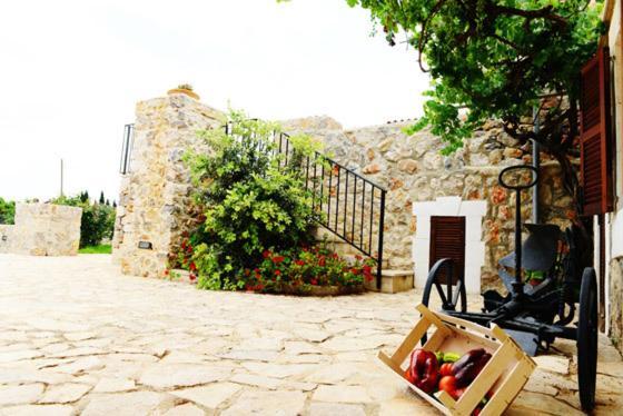 Holiday Home Finca Son Ramon Llubí Zewnętrze zdjęcie